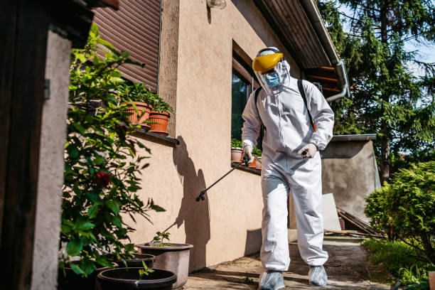 Best Flea Control Services  in Granite Falls, WA