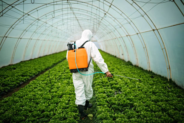 Reliable Granite Falls, WA Pest Control Solutions