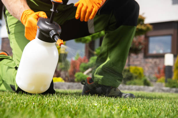 Best Insect Control  in Granite Falls, WA