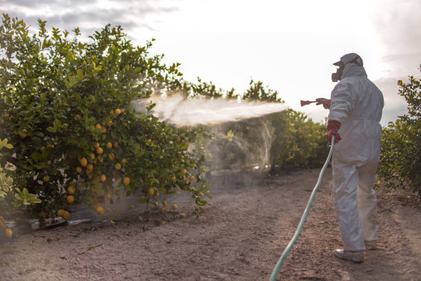 Best Bed Bug Extermination  in Granite Falls, WA