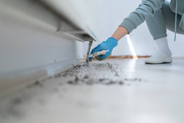 Best Spider Control Near Me  in Granite Falls, WA
